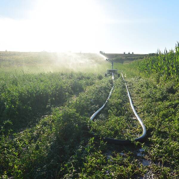 IRRIFORCE MIDI – Image 11