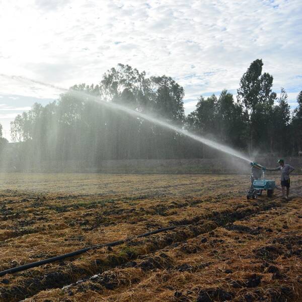 IRRIFORCE MIDI – Image 5
