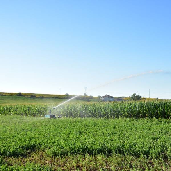 IRRIFORCE MIDI – Image 8
