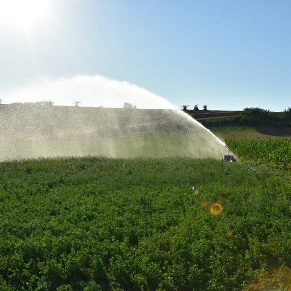 IRRIFORCE MIDI – Image 10